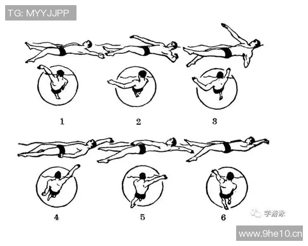 仰泳技巧与训练方法全面解析